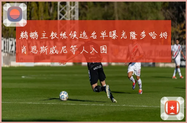 鹈鹕主教练候选名单曝光隆多哈姆肖恩斯威尼等人入围